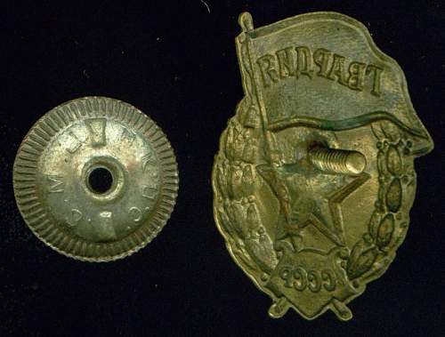 Guard's Badge