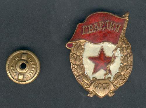 Guard's Badge