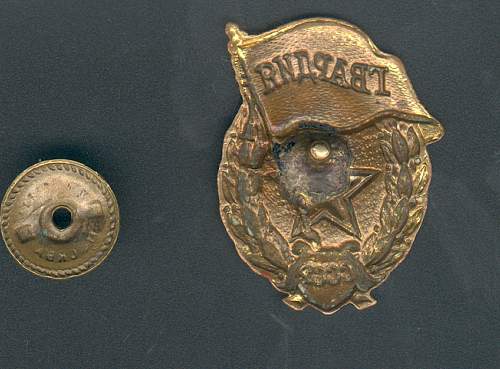 Guard's Badge