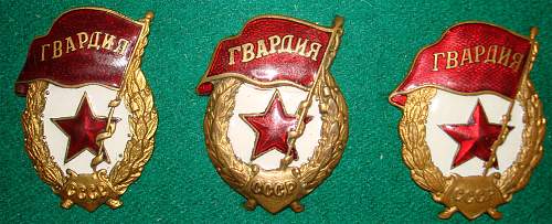 Guard's Badge