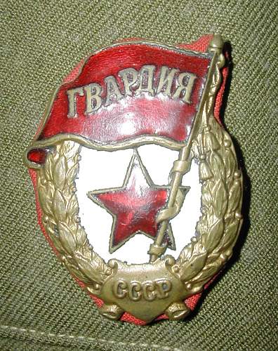 Guard's Badge