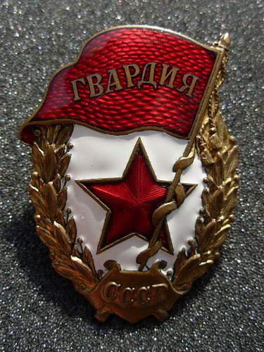 Guard's Badge