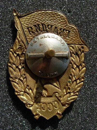 Guard's Badge