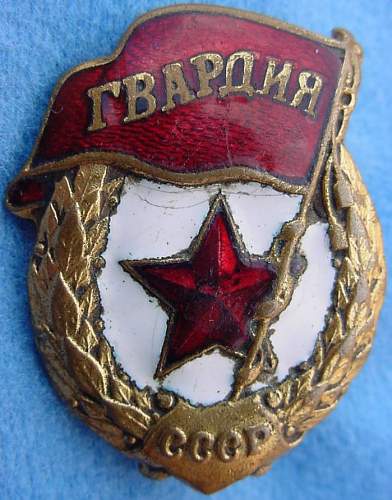 Guard's Badge