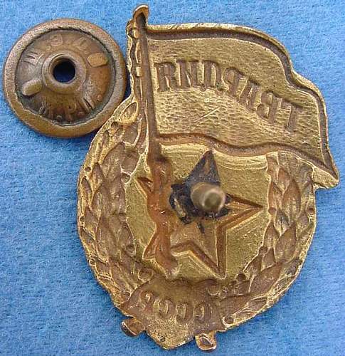 Guard's Badge