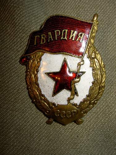 Guard's Badge