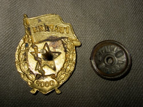 Guard's Badge