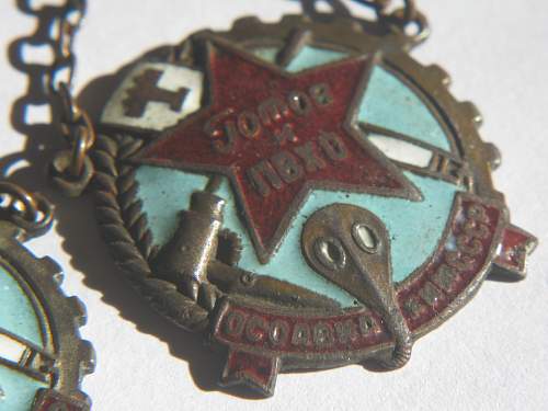 PVKHO Chemical &amp; Anti Aircraft Badge