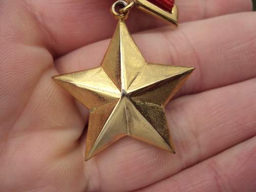 Hero of the Soviet Union Gold Star Medal?