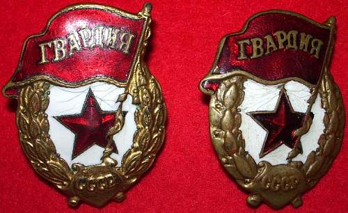 Guard's Badge