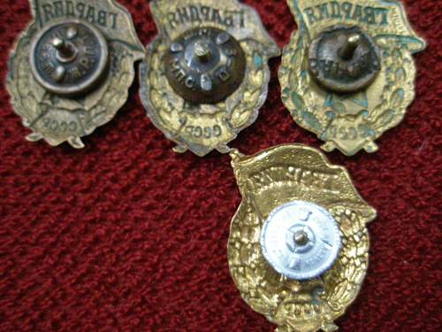 What is This? WW2 Gavardiya Badges