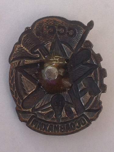 OSOAVIAKhIM membership badge