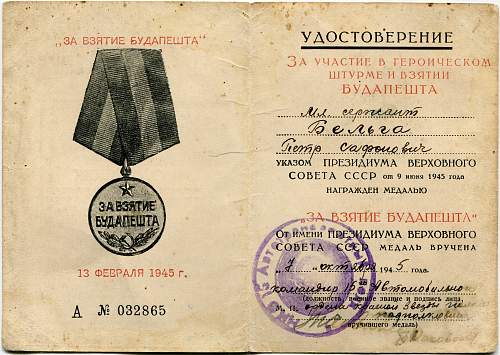 Campaign medal documents