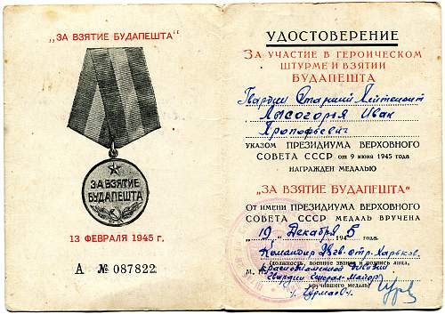 Campaign medal documents