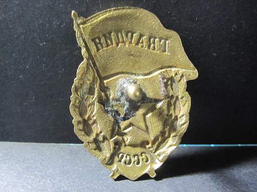 Guard Badge