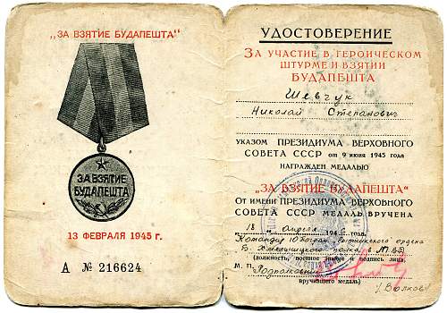 Campaign medal documents