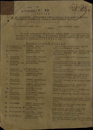 Documents group of Sergeant Vasiliy Nikiforovich Shpagin, Hero of the Soviet Union (#4596)