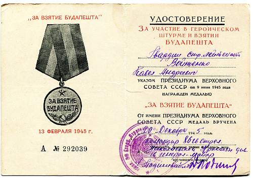 Campaign medal documents