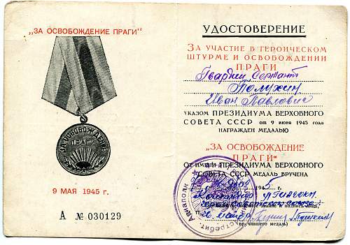 Campaign medal documents