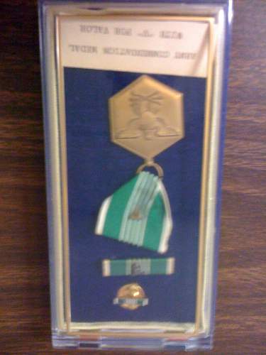 1st Sgt. David Mcnerney's medals