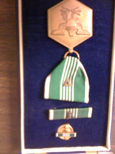 1st Sgt. David Mcnerney's medals