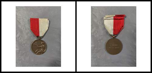WW2 Belgian Medal?