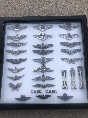 Pilot Wings Collection Update