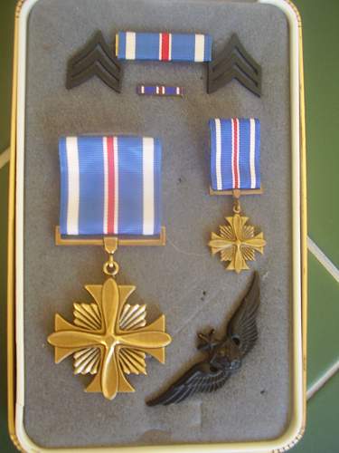 Distinguished Flying Cross USA