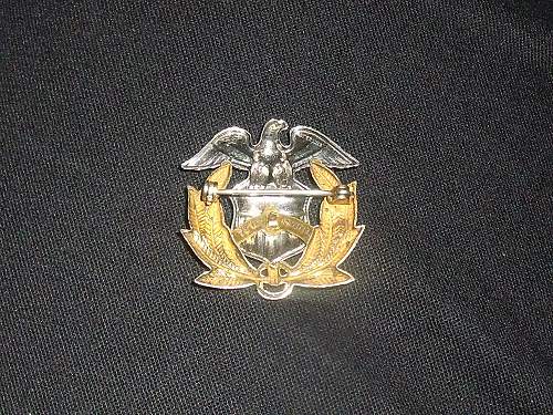 US Navl pin in gold/silver?