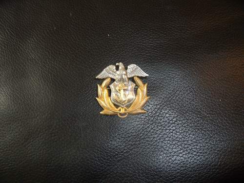 US Navl pin in gold/silver?