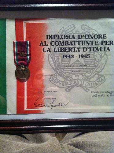 Italian Partisain Medal