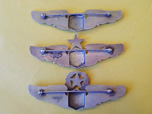 WW2 Army Air Corps aerial gunner wing?