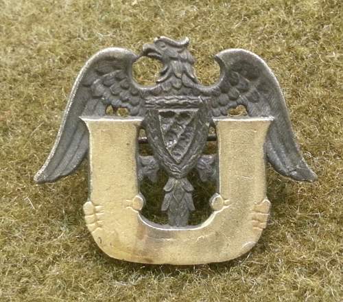 mystery badge. ... or collar insignia?