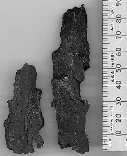 Help needed to identify flak fragments?