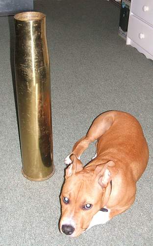 1944 large brass shell casing