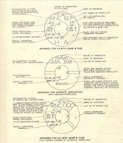 small shell identification marks