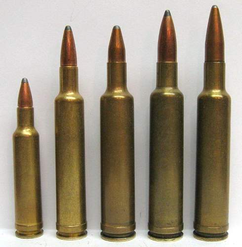 Weatherby Cartridges