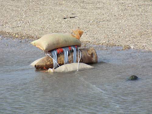 WW.2 German roll mine found at Gorey Castle in Jersey.