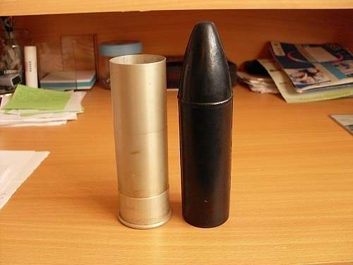 .303 with plastic bullets