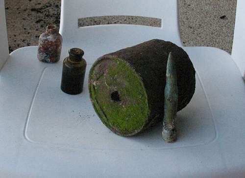 Found on Saipan near Marpi Point  What is it?