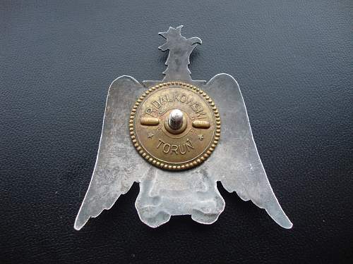 unknown polish badges