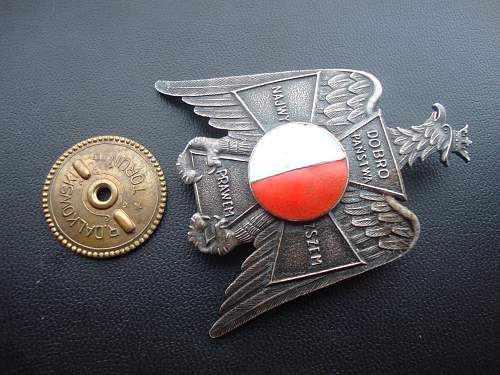 unknown polish badges