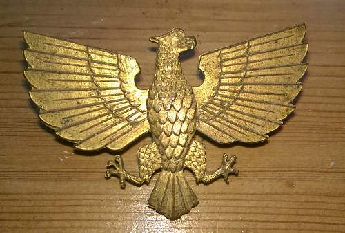 Unknown possible POLISH eagle badge ??