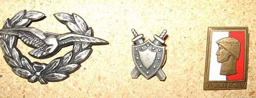 Polish Badges..what era?