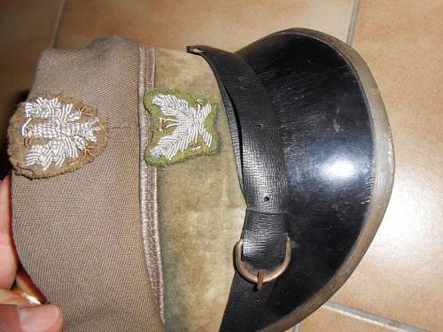 Identification : Polish cap