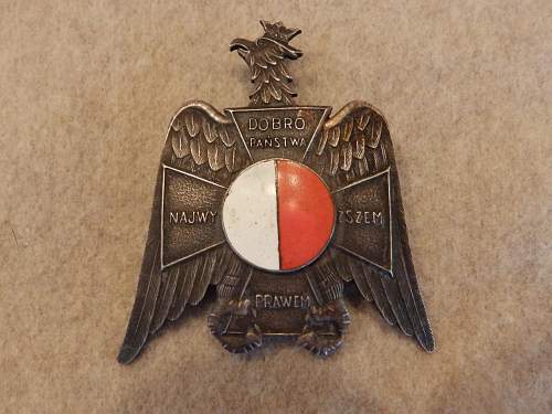 Help kindly requested  to ID Polish badges please...