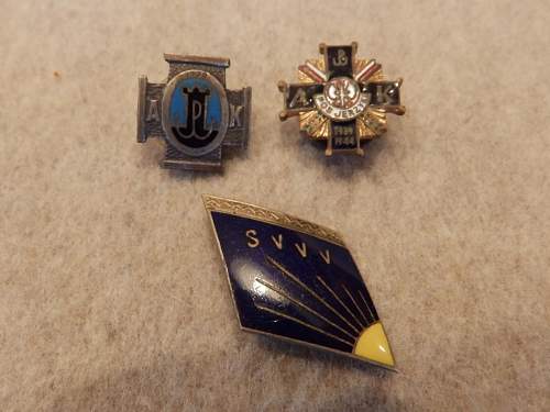 Help kindly requested  to ID Polish badges please...