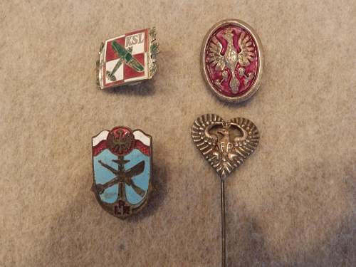 Help kindly requested  to ID Polish badges please...