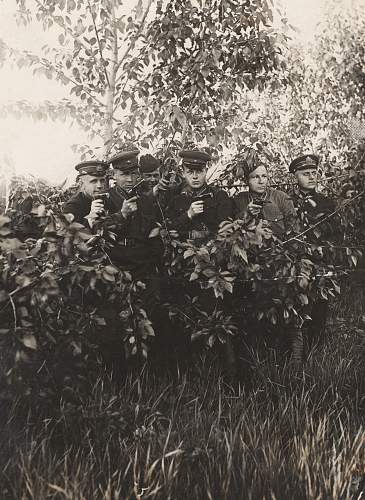 Officers of the RKKF and RKKA with pistols