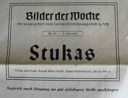 Stuka, picture of the week?